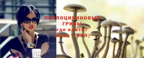 бошки Краснотурьинск