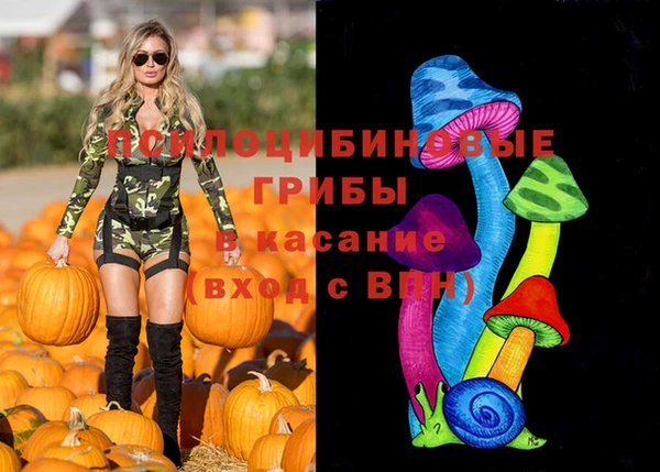 бошки Краснотурьинск