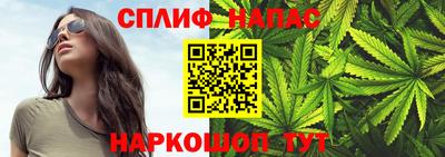 PSILOCYBIN Кинель