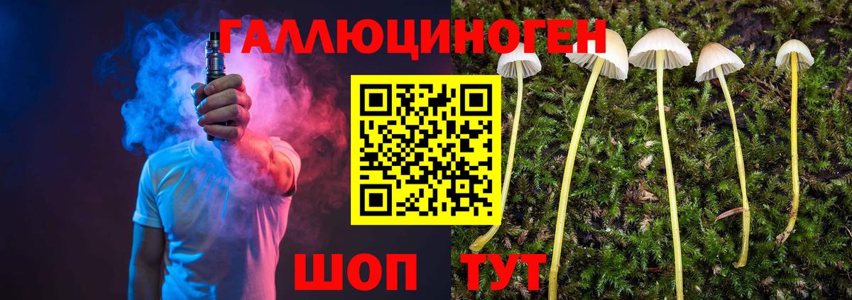 Галлюциногенные грибы ЛСД  Вход с VPN  Новый Уренгой 