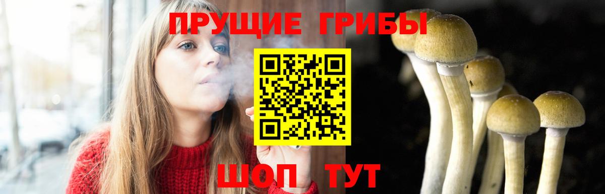 Галлюциногенные грибы Cubensis Новый Уренгой
